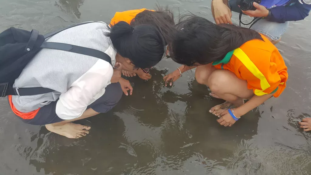 台中6月活動–高美濕地旅遊