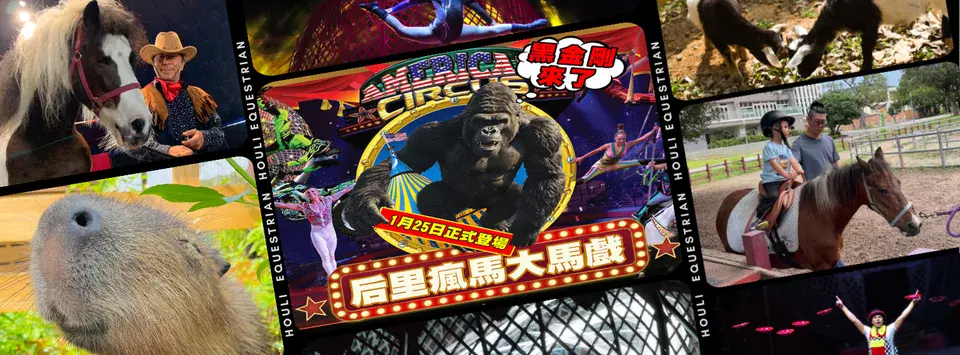 台中7月活動推薦:后里馬戲節-瘋馬大馬戲