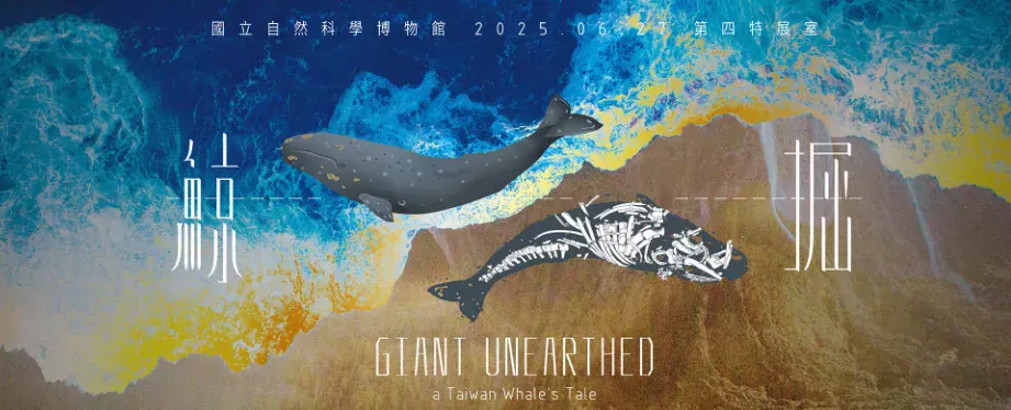 台中8月活動推薦：鯨掘－鯨魚化石與海洋生態特展